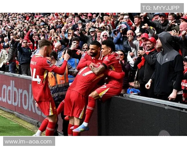 利物浦夺冠游行司机因路怒症撞人认罪引发关注